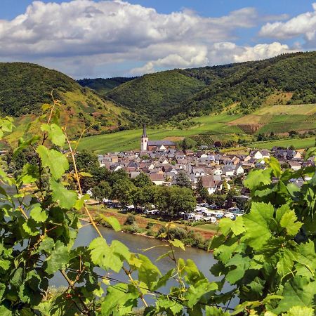 Moselhof Ferienwohnungen Bruttig-Fankel Luaran gambar